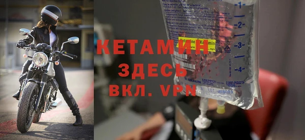 хмурый Аркадак
