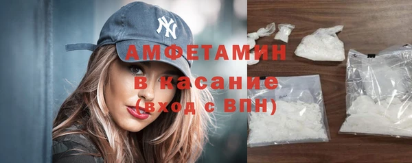 хмурый Аркадак