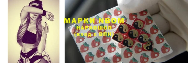 гашик Арсеньев