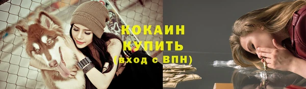 гашик Арсеньев