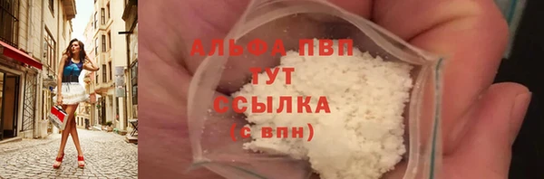 гашик Арсеньев