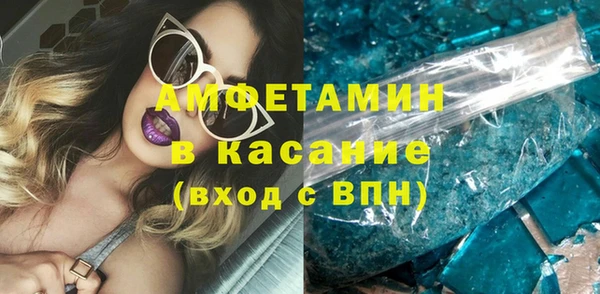 хмурый Аркадак