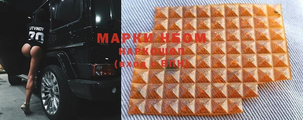 хмурый Аркадак