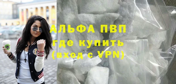 хмурый Аркадак
